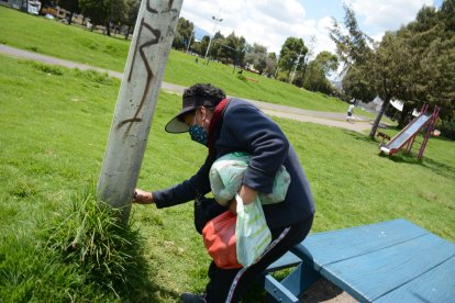Blanca Maldonado indica los huecos por donde se roban los cables.