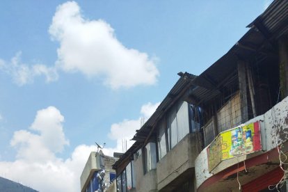 El perrito que encontraron muerto tendría unos ocho años.