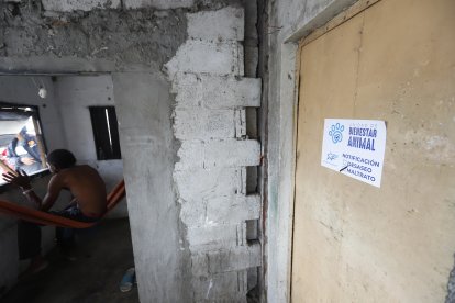 A Cirilo Bagüí se lo detuvo como sospechoso de realizar la grabación, al no hallarse responsabilidad se lo dejó en libertad.