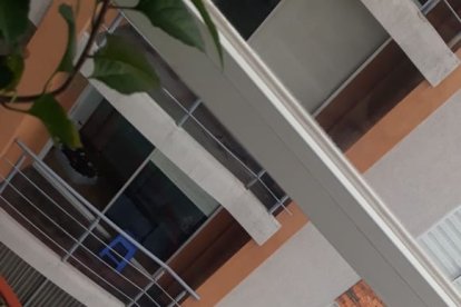 El chico vivía en el octavo piso. Ella en el cuarto, pero por la inclinación de la calle, solo 4 metros los separaban.