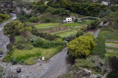 Dentro de la cuenca de los ríos incluso existen sembríos, afectando al ecosistema.