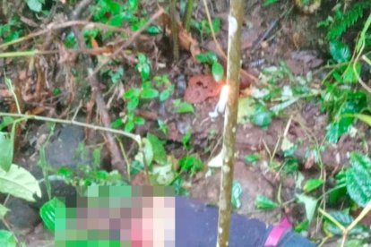 Una de las mujeres asesinadas fue hallada en un matorral.