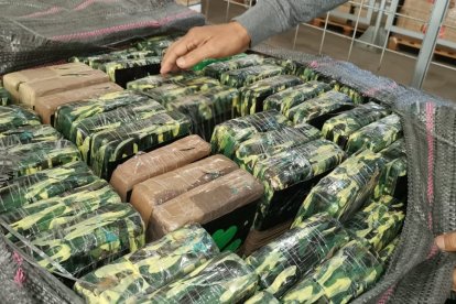 El cargamento permanece en áreas especiales del Ministerio de Gobierno.