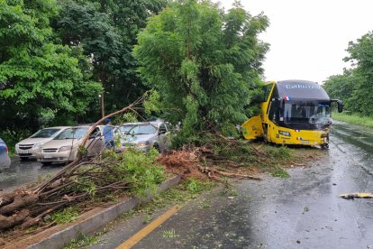 Al parecer, el exceso de velocidad sería la causa del accidente de tránsito.