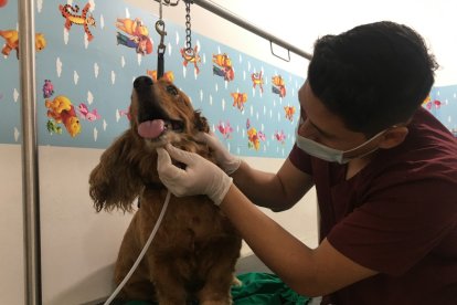 El ozono puede aplicarse también de manera directa, es decir, sin el baño de espumas.