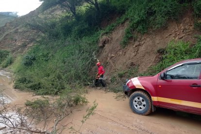 Los bomberos de Loja han limpiado la vía de varios árboles caídos por el temporal.