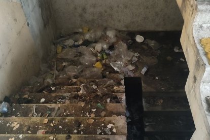 Infinidad de desperdicios hay en distintas áreas, hasta restos de fogata.