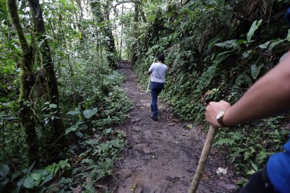 En los bosques de esta parroquia, los turistas y moradores han visto hadas y elfos.
