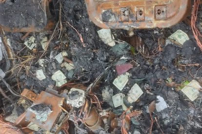 Billetes de varias denominaciones se encontraron en el interior del transporte.