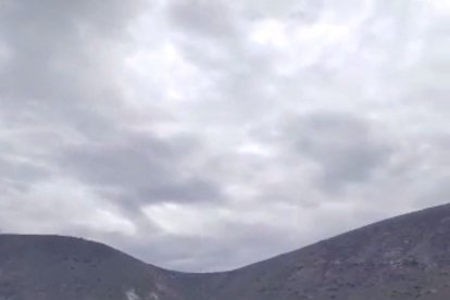 Los cadáveres pendían de un árbol de arupos.