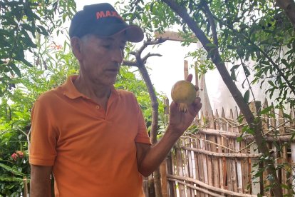 Fulgencio Mieles ha sembrado algunas frutas, verduras y hierbas en el parque.