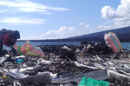 Botellas y fundas de plástico, llantas, desperdicios de higienes, mallas y otros artes de pesca, y más objetos se hallaron.