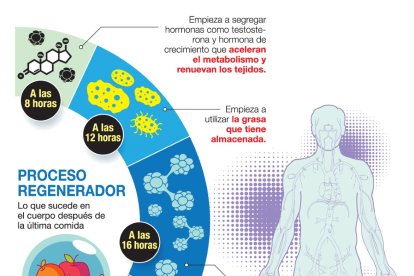 Cambios en el cuerpo en los tiempos que evita comer.