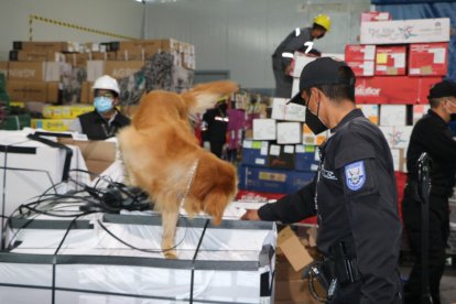 Los canes son la herramienta principal que tiene la Policía para detectar este tipo de mercadería ‘contaminada’.