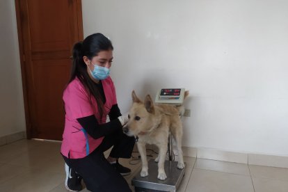 Fue revisado y su estado de salud está normal dentro del rango.