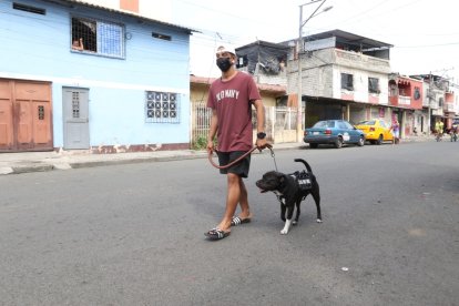 Bruno se ha hecho famoso tras viralizarse en redes sociales su valiente reacción ante unos antisociales.