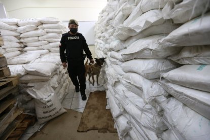 El compuesto fue traído desde China hasta el Ecuador.