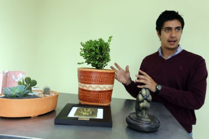 El bonsái natural o artificial sirve para armar el homenaje para la mascota.