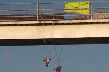 La madrugada de ayer aparecieron dos cabezas de ganado colgadas al norte de Quito. También hubo marchas en el Centro Histórico.