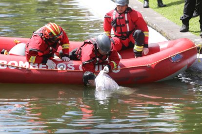 Momento en que sacan el cadáver de la laguna.