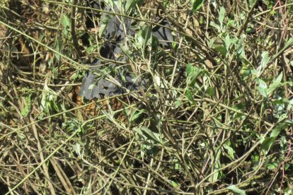 Este sábado 2 de julio localizaron otros restos de las víctimas de la explosión en Pallatanga.