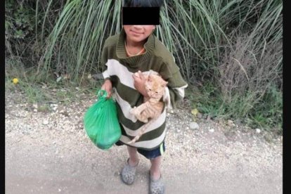 Niño quería vender su gatito para ir a la escuela