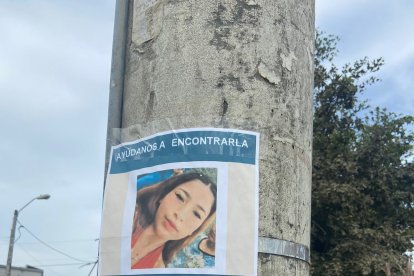 La familia había ubicado volantes con el aviso en postes del sector.