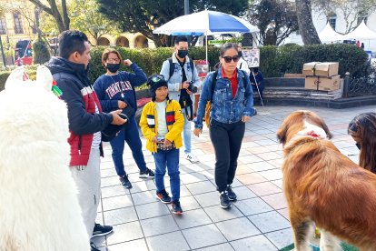Ana Romero llegó a tomarse una foto con Lucas, el San Bernardo del Parque Central de Cuenca.