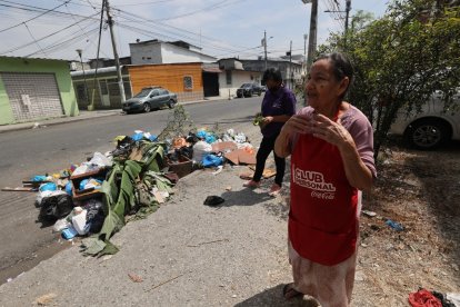 La acumulación de basura es otro dolor de cabeza de los moradores de los bloques de Sauces 6.