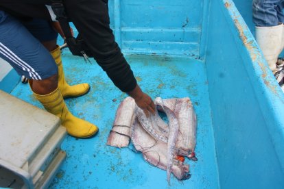 Juan González se llevó el singular pescado a casa.