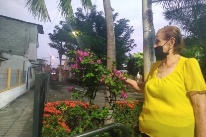 Doña Carmen ama las plantas, por eso paga a un jardinero para que se encargue del riego y su respectiva poda.