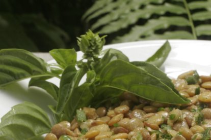 Con las lentejas se preparan desde moro, menestra, ensaladas, cremas y más recetas.