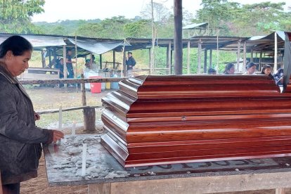 Zoila Castillo dio detalles sobre lo que pasó con su sobrina, de 21 años.