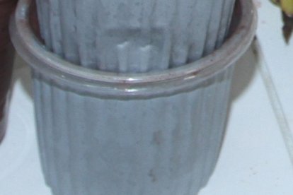 Culebra iba con una tarrina cuando le dieron 'vire'.