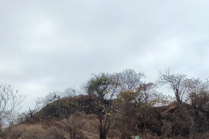 Ascendimos al cerro de Las Cabras para ver si ella estaba refugiada en las cabañas levantadas con desechos de ropa o telas y nada.
