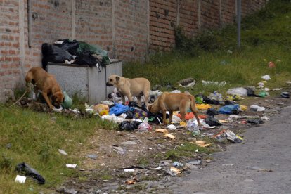 La basura es otro de los problemas de este barrio.