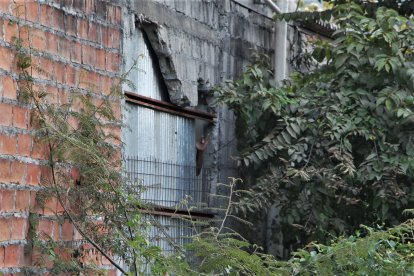 La estructura anegada era una de las paredes posteriores de la construcción.