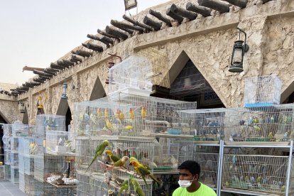 La venta de pajaritos en los mercados de Doha es al aire libre.