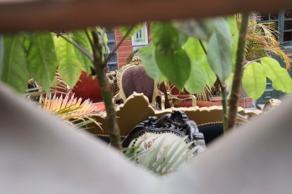 En el patio de la casa aún están los muebles de la víctima, familiares impidieron que se los llevaran.
