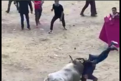 Los videos de los ataques fueron viralizados en redes sociales.