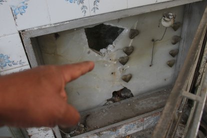 Las lápidas están rotas en algunas zonas.