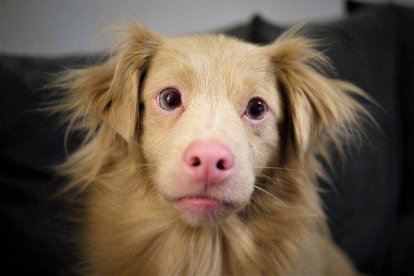 Exponerlos al sol es un grave error.