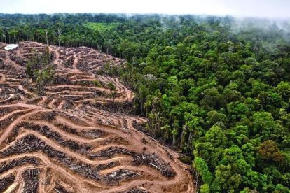 Zona subastada (176 hectáreas) a Unoric. Allí han empezado a abrir calles.