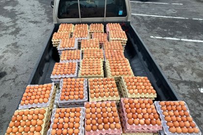 Las cubetas de huevos fueron reconocidas por el afectado.