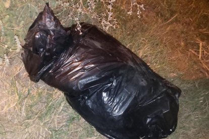 El cuerpo fue hallado dentro de fundas de plástico.