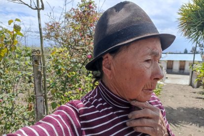 La mordida de  uno de los perros le arrancó parte de una oreja.