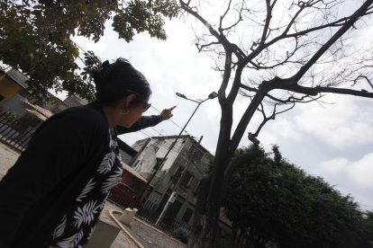 Narcisa Plúas señala el árbol al que primero vio crecer y ahora le teme.