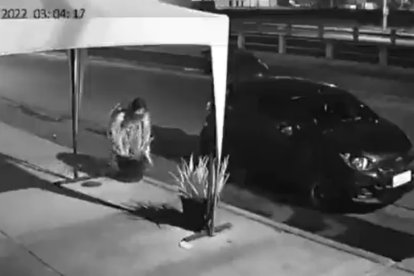Una mujer se habría llevado una maceta en la madrugada.