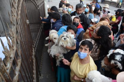 Decenas de personas llevaron a sus animalitos.