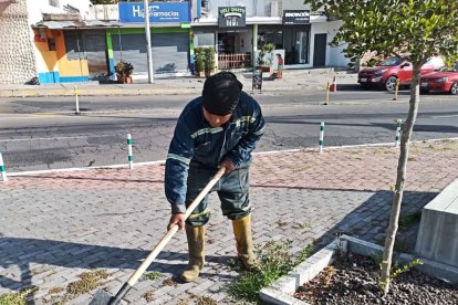 Por el momento, una cuadrilla de la Administración Zonal trabaja en un parque de Cumbayá.